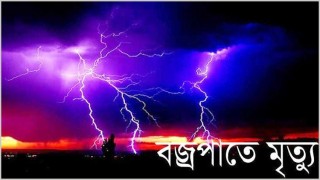 বজ্রপাতে দুই ভাইয়ের মৃত্যু