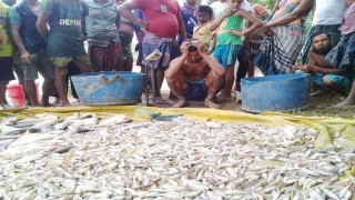 শিবপুরে চাঁদা না পেয়ে দুটি পুকুরে বিষ প্রয়োগের অভিযোগ 