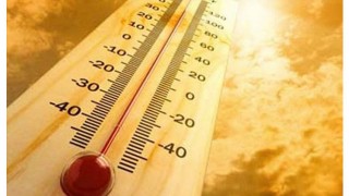 ফ্রান্সে গ্রীষ্মের প্রচণ্ড দাবদাহে দেড় হাজার মানুষের মৃত্যু