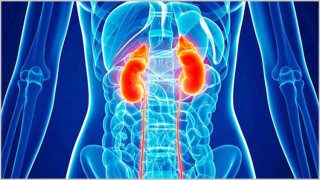 দেশের বিভিন্ন স্থানে কিডনি সিন্ডিকেটের তৎপরতা বৃদ্ধি