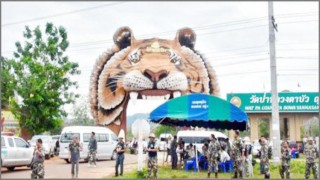 টাইগার টেম্পল থেকে উদ্ধার হওয়া ৮৬ বাঘের মৃত্যু