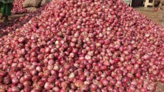 পেয়াজ কেজিতে বিক্রি হচ্ছে ১২০ টাকায়