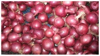 আজ থেকে খোলা বাজারে পেঁয়াজ বিক্রি করবে টিসিবি