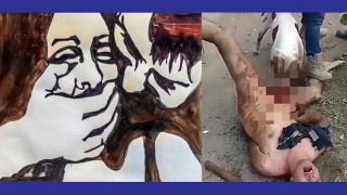 কুকুরের পেটে ধর্ষকের পুরুষাঙ্গ!