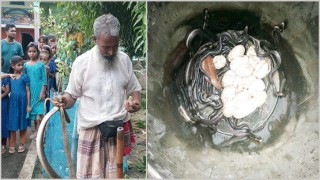 সোনারগাঁয়ে ৪৮ টি বিষধর গোখরা সাপ উদ্ধার