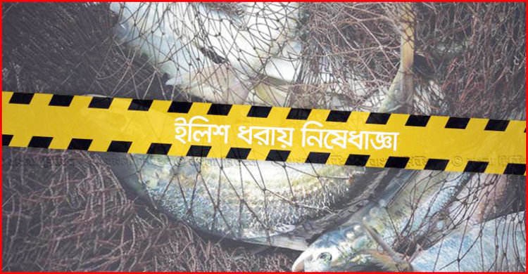 ২২ দিন ইলিশ ধরা নিষিদ্ধ ২২ দিন ইলিশ ধরা নিষিদ্ধ