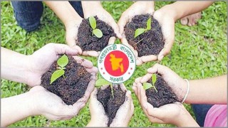 সরকারি ত্রাণ নিলে কমপক্ষে ৫টি গাছ লাগাতে হবে
