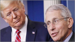 ডব্লিউএইচও’র অর্থায়ন স্থগিত করলেন ডোনাল্ড ট্রাম্প