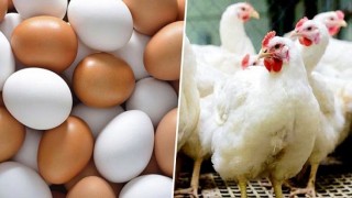 প্রান্তিক পর্যায়ে উৎপাদিত মাছ, দুধ, ডিম ও পোল্ট্রি বাজারজাতকরণের উদ্যোগ প্রান্তিক পর্যায়ে উৎপাদিত মাছ, দুধ, ডিম ও পোল্ট্রি বাজারজাতকরণের উদ্যোগ