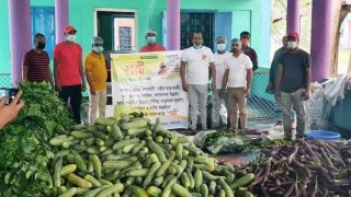 ঘোড়াশালে কর্মহীন দরিদ্র পরিবারে বিনামূল্যে সবজি বিতরণ