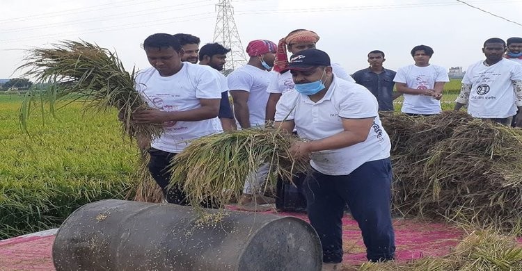 নরসিংদীতে ধান কেটে কৃষকের বাড়ি পৌঁছে দিলো মেয়র ও ছাত্রলীগ নরসিংদীতে ধান কেটে কৃষকের বাড়ি পৌঁছে দিলো মেয়র ও ছাত্রলীগ