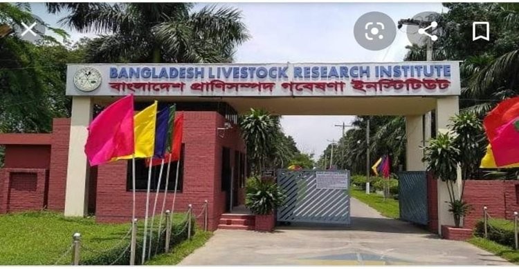 করোনাভাইরাস সনাক্তকরণে নমুনা পরীক্ষা শুরু করেছে প্রাণিসম্পদ গবেষণা ইনস্টিটিউট করোনাভাইরাস সনাক্তকরণে নমুনা পরীক্ষা শুরু করেছে প্রাণিসম্পদ গবেষণা ইনস্টিটিউট