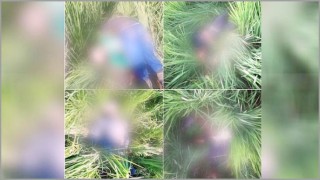 বিএসএফ-এর গুলিতে পাঁচ ‘অনুপ্রবেশকারী’ নিহত বিএসএফ-এর গুলিতে পাঁচ ‘অনুপ্রবেশকারী’ নিহত