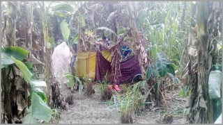 শিবপুরে কিশোরিকে শ্বাসরোধ ও গলা কেটে হত্যা করছে দুর্বৃত্তরা শিবপুরে কিশোরিকে শ্বাসরোধ ও গলা কেটে হত্যা করছে দুর্বৃত্তরা