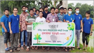 পলাশে উদ্দীপ্ত তারুণ্য’র বর্ষপূর্তি উপলক্ষ্যে বৃক্ষরোপণ