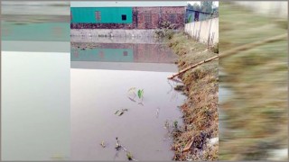 পাঁচদোনায় নানার বাড়ি বেড়াতে গিয়ে কারখানার গর্তের পানিতে ডুবে দুই শিশুর মৃত্যু