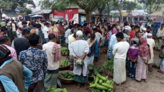 নরসিংদীতে সরবরাহ বাড়ায় কমছে শীতকালীন শাকসবজির দাম