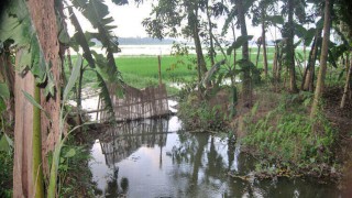 শিবপুরের দুলালপুরে অবৈধ দখলে শতবর্ষী কুড়ের খাল