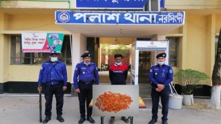 পলাশে ইয়াবাসহ মাদক কারবারি গ্রেপ্তার