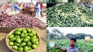 অনলাইনে পাওয়া যাবে নরসিংদীর বিষমুক্ত নিরাপদ সবজি