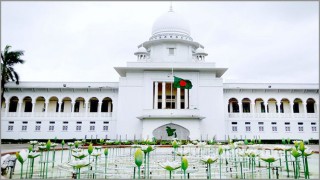গর্ভের শিশুর লিঙ্গ পরিচয় প্রকাশ কেন অবৈধ নয়, জানতে চেয়ে হাইকোর্টের রুল জারি