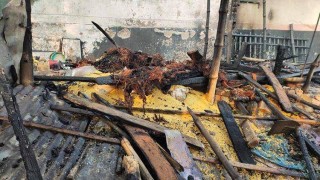 মাধবদীতে দুর্বৃত্তের আগুনে পুড়ে ছাই বাড়িসহ ৩ গবাদি পশু