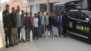 যৌন উত্তেজক শরবত ও ভেজাল কয়েল জব্দ, ১২ জন গ্রেফতার