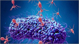 ‘নোবেল করোনাভাইরাস’: ভয়াবহ ঝুঁকিতে বাংলাদেশ