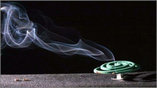 মশার থেকে বেশি ভয়ঙ্কর কয়েল!