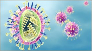 যুক্তরাষ্ট্রে নতুন আতঙ্ক ছড়াচ্ছে ইনফ্লুয়েঞ্জা