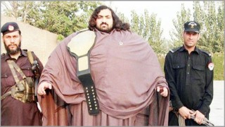 পাত্রী খুঁজছেন সাড়ে চারশো কেজির পাত্র!