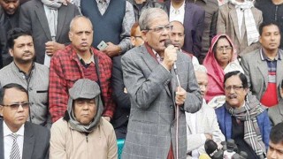 নির্বাচন নির্বাচন খেলা করছেন আমরা জানি: মির্জা ফখরুল ইসলাম