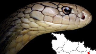 বিশ্বজুড়ে অপ্রতিরোধ্য করোনা ভাইরাস আতংক  