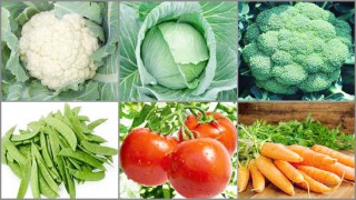 শীতের ৯টি সবজি ও তাদের অতুলনীয় পুষ্টিগুণ