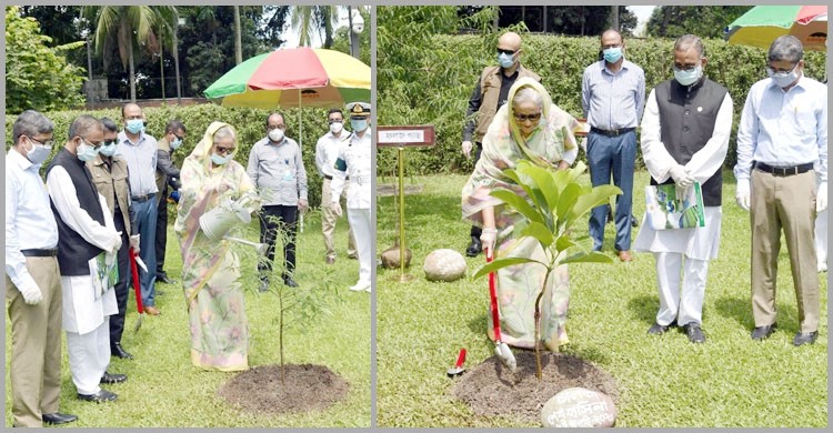 করোনা মোকাবেলা করে আবার আমরা ঘুরে দাঁড়াব: প্রধানমন্ত্রী শেখ হাসিনা করোনা মোকাবেলা করে আবার আমরা ঘুরে দাঁড়াব: প্রধানমন্ত্রী শেখ হাসিনা