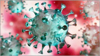 করোনাভাইরাস: সংক্রমণের দিক থেকে এশিয়ায় ২য় বাংলাদেশ করোনাভাইরাস: সংক্রমণের দিক থেকে এশিয়ায় ২য় বাংলাদেশ