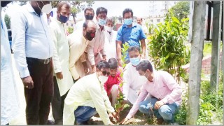 শিবপুরে হিন্দু মহাজোটের উদ্যোগে বৃক্ষরোপন
