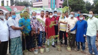 "মুজিব বর্ষ" উপলক্ষে শিবপুরে পূজা উদযাপন কমিটির বৃক্ষরোপণ "মুজিব বর্ষ" উপলক্ষে শিবপুরে পূজা উদযাপন কমিটির বৃক্ষরোপণ