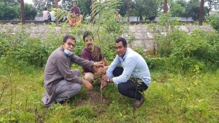 আলোকিত নরসিংদীর উদ্যোগে বৃক্ষরোপণ কর্মসূচী শুরু