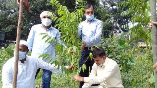 মুজিব শতবর্ষ উপলক্ষে শিবপুরে যুবলীগের বৃক্ষরোপণ মুজিব শতবর্ষ উপলক্ষে শিবপুরে যুবলীগের বৃক্ষরোপণ