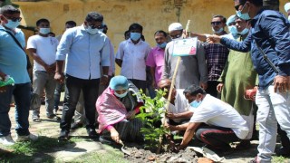 বঙ্গবন্ধুর জন্মশতবার্ষিকী উপলক্ষে নরসিংদীতে এমপি বুবলির বৃক্ষরোপণ