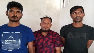 রায়পুরায় তিনটি চোরাই গরুসহ তিনজন গ্রেফতার