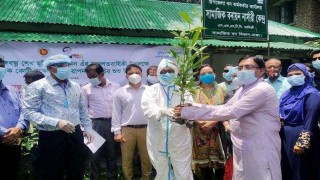 পলাশে ২০ হাজার ৩২৫টি বৃক্ষরোপণ কর্মসূচির উদ্বোধন
