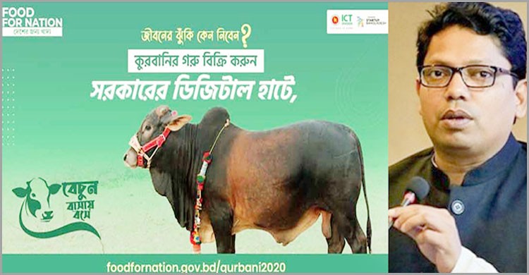 সরকারের ডিজিটাল হাটে কোরবানির পশু কেনা বেচা করুন সরকারের ডিজিটাল হাটে কোরবানির পশু কেনা বেচা করুন