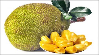 জাতীয় ফল কাঁঠালের পুষ্টিগুন ও স্বাস্থ্য উপকারিতা...