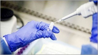 সরকারিভাবে করোনা পরীক্ষায় ফি নির্ধারিত হচ্ছে সরকারিভাবে করোনা পরীক্ষায় ফি নির্ধারিত হচ্ছে