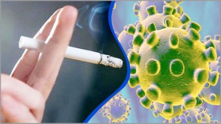 ধূমপান: করোনার সম্ভাবনা বাড়ায় ১৪% ধূমপান: করোনার সম্ভাবনা বাড়ায় ১৪%