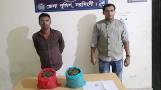 রায়পুরায় ইয়াবা ও গাঁজাসহ তালিকাভুক্ত মাদক ব্যবসায়ী গ্রেফতার
