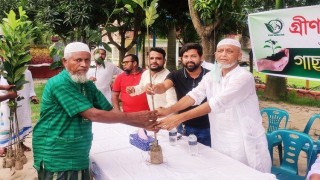 মাধবদীতে ক্লাবের উদ্যোগে চারা গাছ বিতরণ