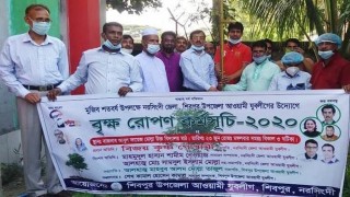 শিবপুরে যুবলীগের উদ্যোগে বৃক্ষরোপন কর্মসূচী শুরু শিবপুরে যুবলীগের উদ্যোগে বৃক্ষরোপন কর্মসূচী শুরু